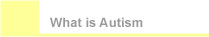 What is Autism