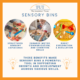Sensory Bins (A Powerful Tool)
